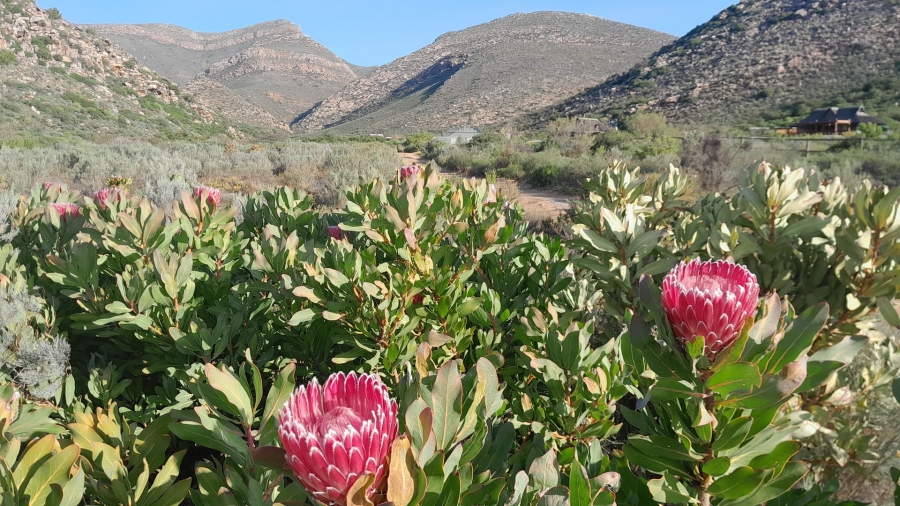 Commercial Property for Sale in Worcester Rural Western Cape